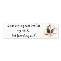 Since Owning Rats... Bumper Sticker