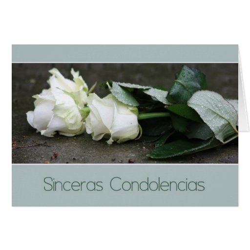 Sinceras Condolencias Spanish sympathy card Zazzle