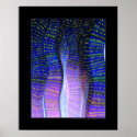 Sine City (Blue) posters