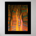 Sine City (Gold) posters