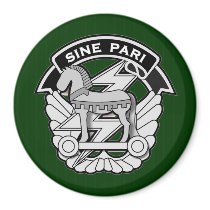 SINE PARI REFRIGERATOR MAGNET