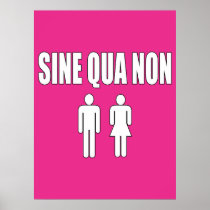 Sine Qua Non Romantic Latin Quote Valentine's Day Poster