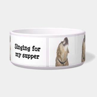 Sing for your Supper petbowl