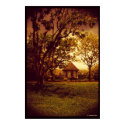 Singapore Botanical Garden posters by jlayesphotography Singapore Botanical Garden posters