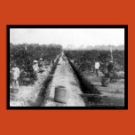 occupations, photo, photograph, photography,