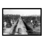 occupations, photo, photograph, photography,