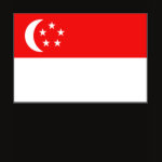Singapore Flag Map Spaghetti Top