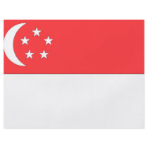 Singapore Flag flyers by flagshirts Singapore Flag flyers