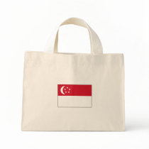 Singapore FLAG International bags