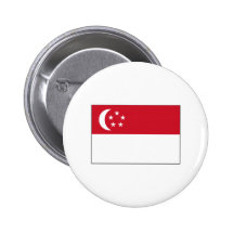 Singapore FLAG International Pins