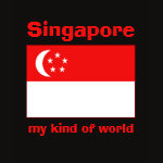 Singapore Flag Map Text Ladies Baby Doll