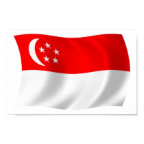 Singapore Flag Poster Print by LivingFlags2 Singapore Flag Poster Print