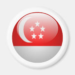 Singapore Flag Refrigerator Magnets