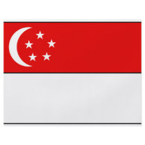 Singapore Flag T-shirts and Gifts flyers by flagshirts Singapore Flag T-shirts and Gifts flyers