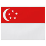 Singapore Flag T-shirts and Gifts Custom Flyer