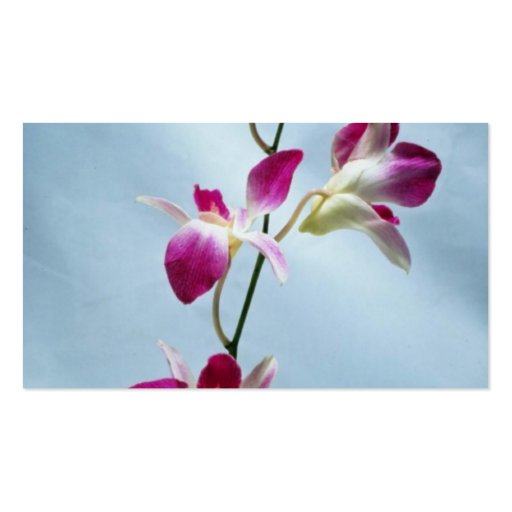 Singapore orchid flowers business card (back side)