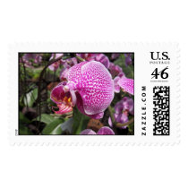 Singapore Orchid postage