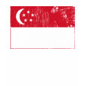 Singapore T-shirt