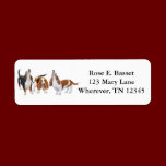 Singing Basset Hounds Label labels