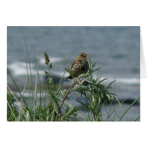 "Singing Bird Northumberland England Beach" Greeting Cards