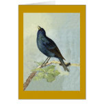 Singing Blackbird Watercolor Note Card