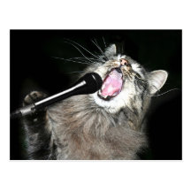 Singing cat postcard