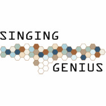 Singing Genius photo sculptures
