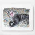 Singing Kitty mousepads by BowNRanch Singing Kitty mousepads