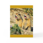 Singing Prairie Dogs Card