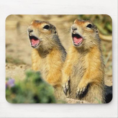Singing Prairie Dogs Mouse Pad Zazzle_mousepad Singing Prairie Dogs Mouse Pad Zazzle_mousepad