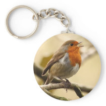 Singing Robin Key Chain