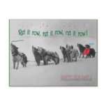 music, dogs, husky, huskies, snow, alaska,