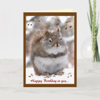 Singing Squirrel Birthday Greeting Cards