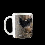 Singing Swallow Chicks - Mugs mugs