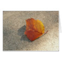 Single Autumn Leaf cards