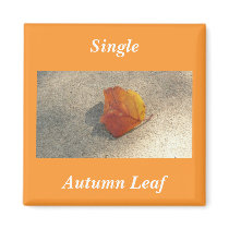 Single Autumn Leaf magnets