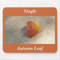 Single Autumn Leaf mousepads