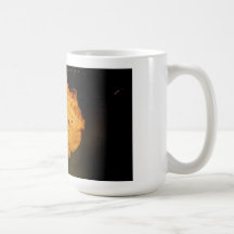Single autumn leaf mug