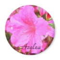 Single Azalea magnet
