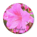 Single Azalea magnet