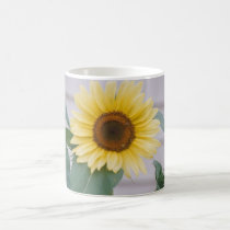 "SINGLE BIG SUNFLOWER" mugs by crrfan "SINGLE BIG SUNFLOWER" mugs