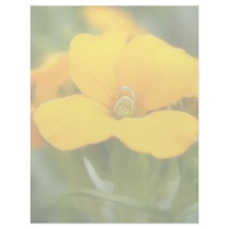 Single Bloom - Wallflower Customized Letterhead