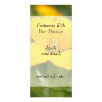 Single Bloom - Wallflower Rack Card