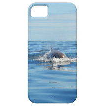 Single Bottlenose Whale iPhone 5 Case