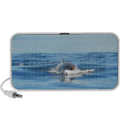 Single Bottlenose Whale iPhone Speakers