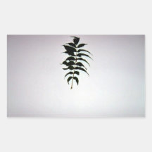 Single Branch With Green Leaf Rectangular Sticker