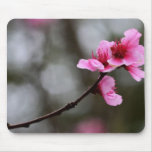 Single Cherry Blossom Mouse Pad