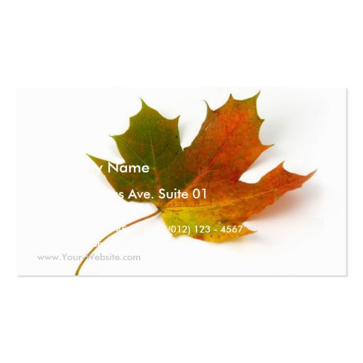 Single Coloured Maple Leaf On White Background Business Card Template (front side)