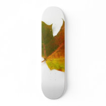 Single Coloured Maple Leaf On White Background skateboards by lifesphere Single Coloured Maple Leaf On White Background skateboards