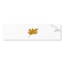 Single Coloured Northern Red Oak Leaf On White Bac bumper stickers by lifesphere Single Coloured Northern Red Oak Leaf On White Bac bumper stickers